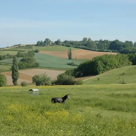 Domaine De Merlanes * Molières